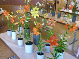 Foto: Dr. Peter Müller